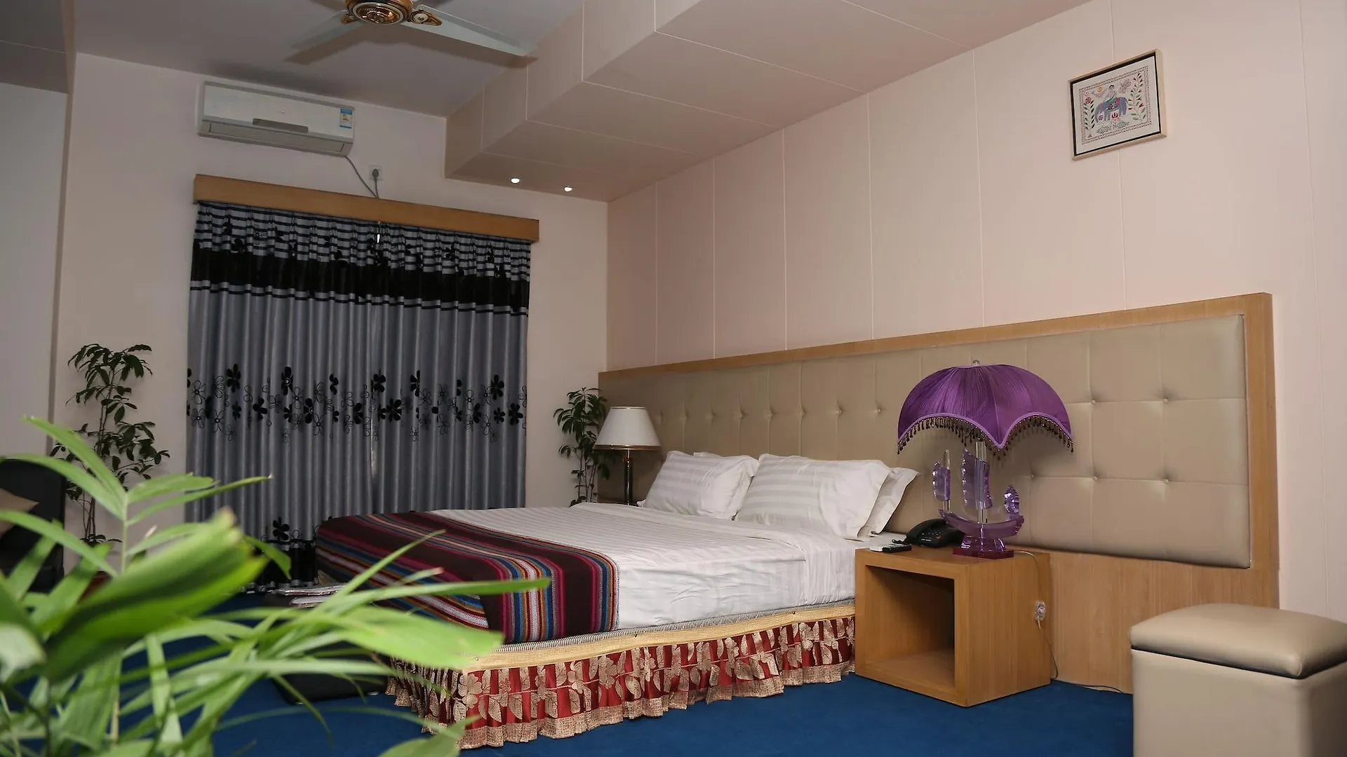 Hotel Milina Daca