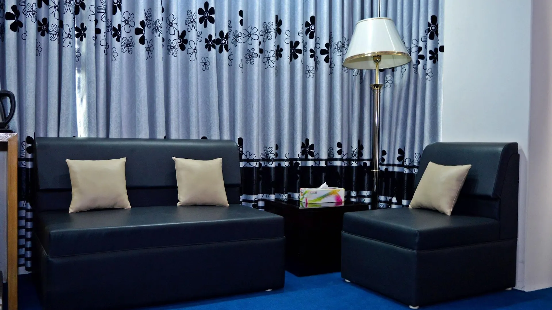 Hotel Milina Daca